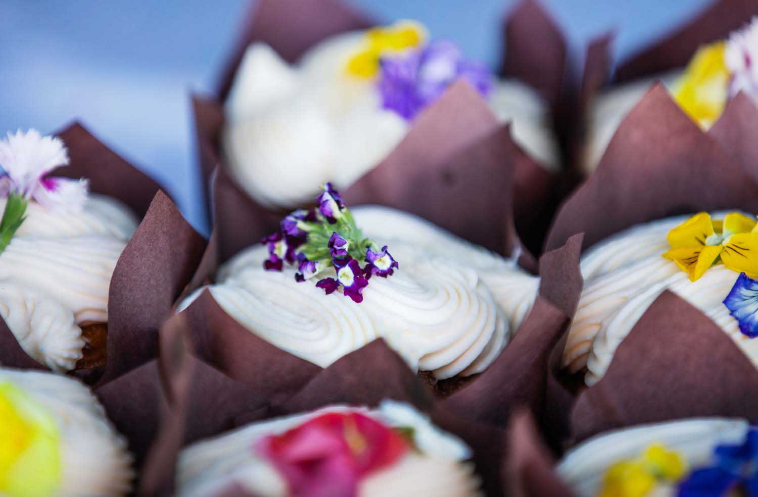 KFF 2024 KFF 2024 Vendor cakes