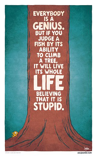 "Everybody is a genius. But if you judge a fish by its ability to climb a tree, it will spend its entire life believing it is stupid." - Albert Einstein
