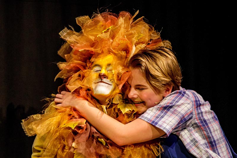 David in A Lion in the Meadow