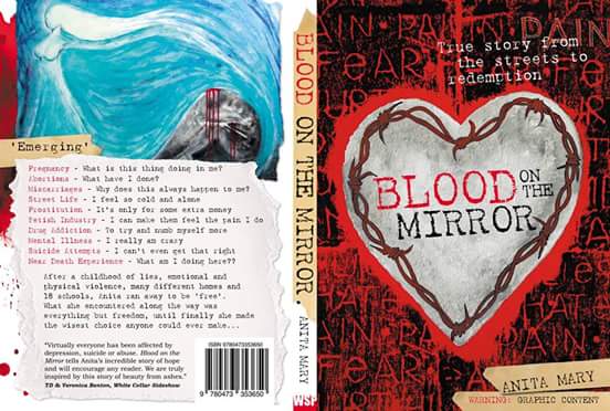 The cover of Blood On The Mirror