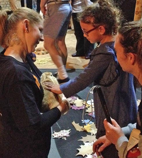 A child strokes a rabbit during the touch tour of The Velveteen Rabbit