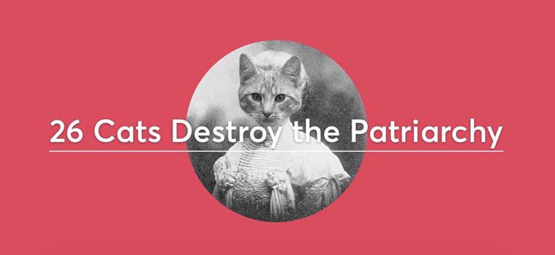 Promoting 26 Cats Destroy the Patriarchy