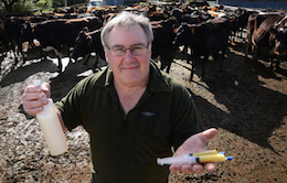 Doug Mende Doug Mende