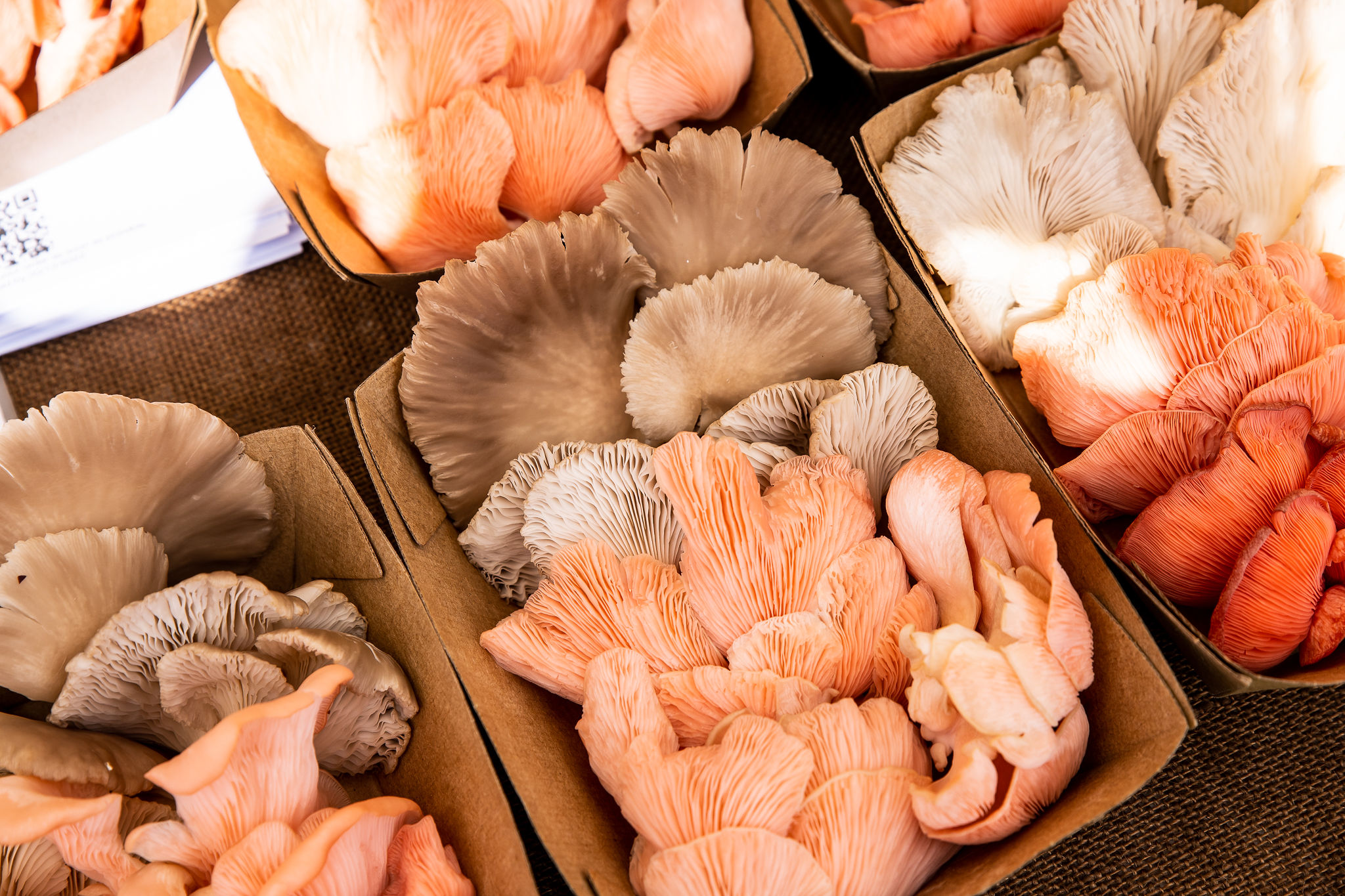 Mushroom Vendor