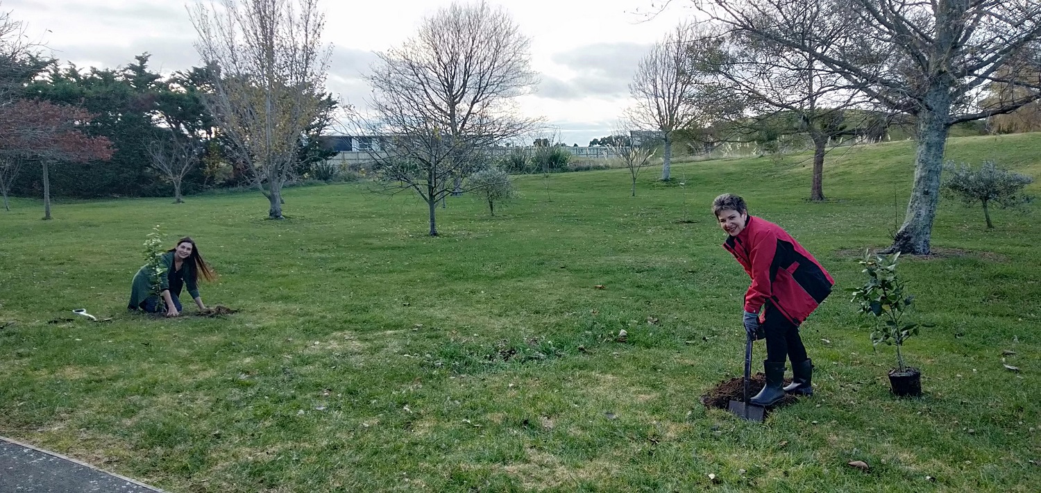 KFF Fruit Tree Planting