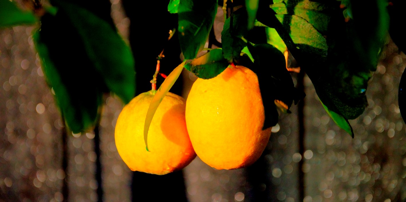 Lemons