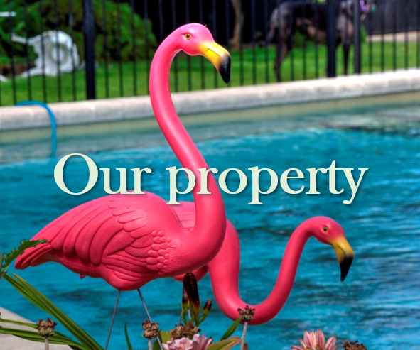 Our Property