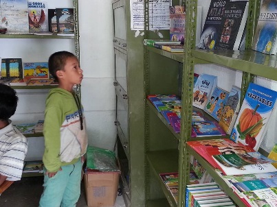 Books on shelves