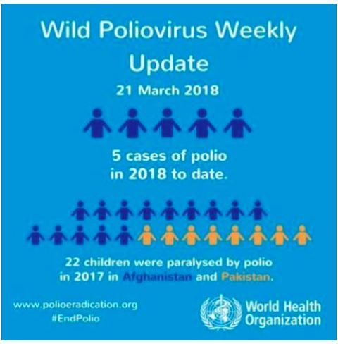 Polio_stats