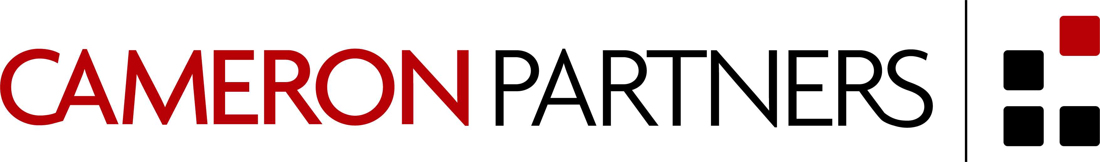 Cameron Partners Logo
