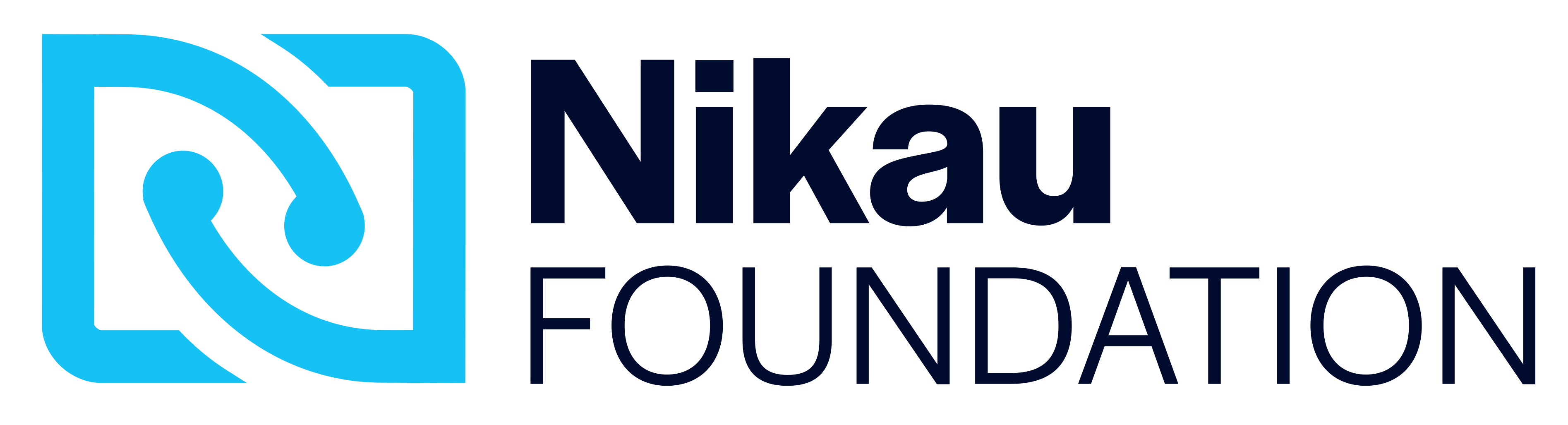 Nikau Foundation