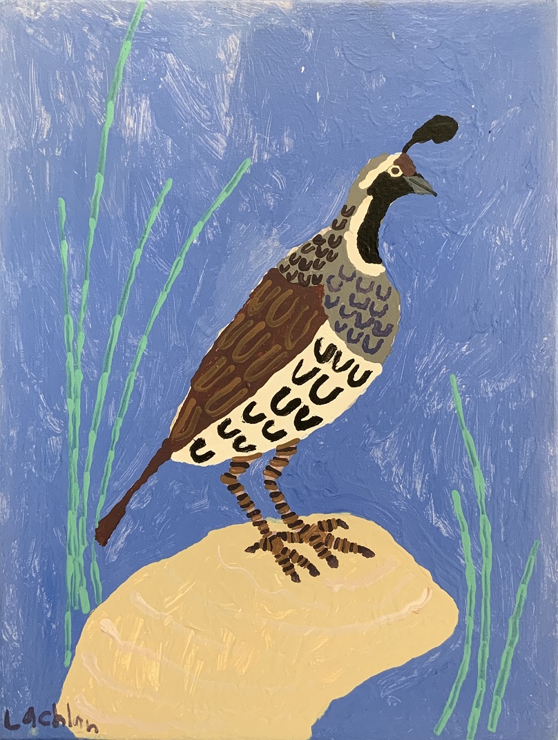 "Quail" by Lachlan Thomson