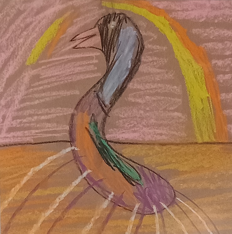 "Peacock Rainbow" by Declan Jack