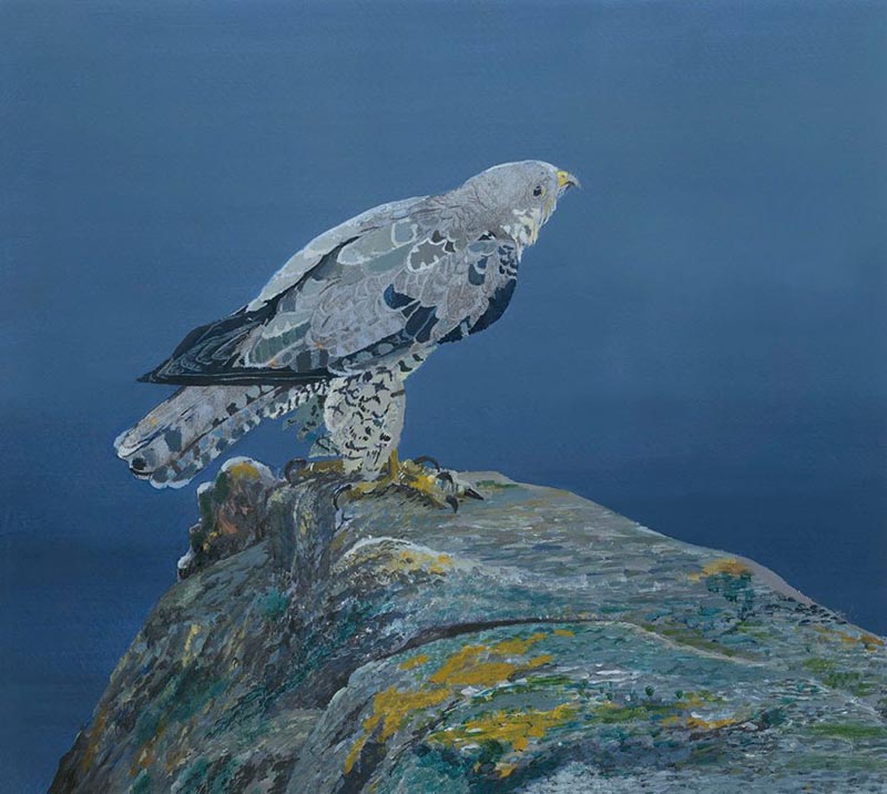 Falcon by the Sea by Liam O'Halloran