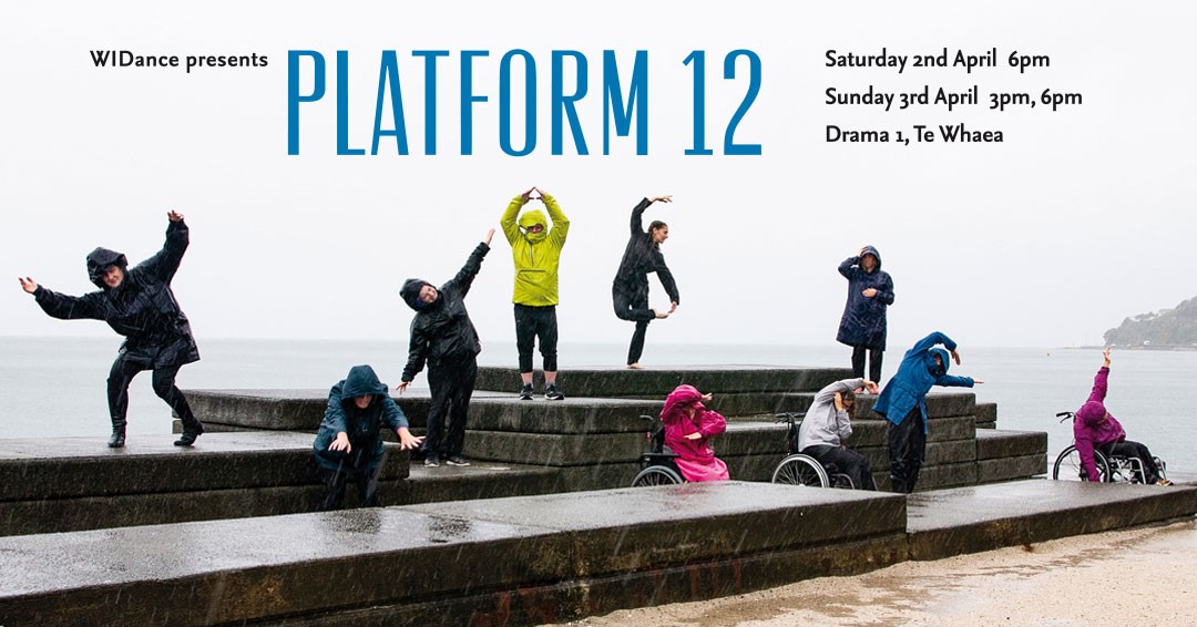 WIDance Platform 12 promotional poster, with dancers posing in various poses from one of the dance pieces